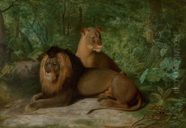 Lion And Lioness - view 1