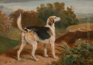Ravager, one of the Lambton Hounds