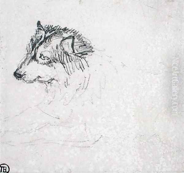 Arctic dog, facing left - view 1