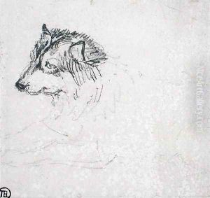 Arctic dog, facing left Arctic dog, facing left