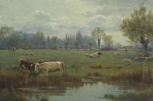 Cattle And Sheep In A Watermeadow Cattle And Sheep In A Watermeadow