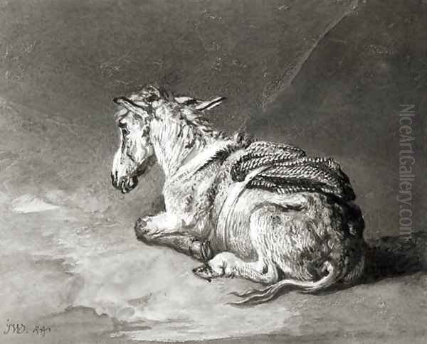 Donkey at Rest - view 1