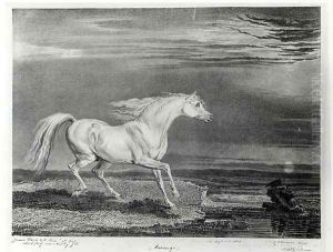Marengo, engraved by the artist, pub. by R. Ackermann, 1824