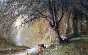 Cattle Watering Beside Woodland