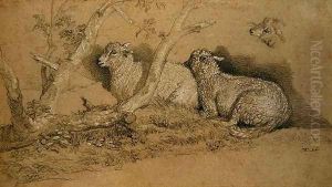 Sheep Resting in a Wooded Copse and a Study of the Head of a Sheep by James Ward