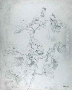 Study of a Climbing Plant by James Ward