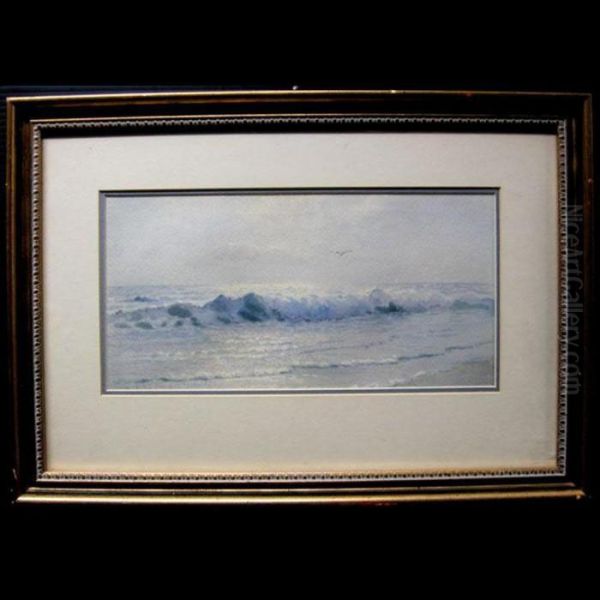 Surf - view 1