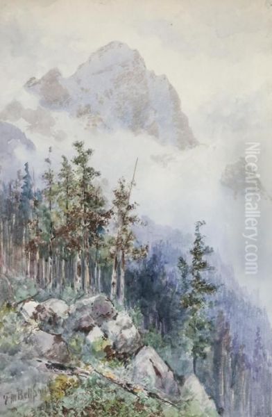Mountains With Mist And Glaciers - view 1