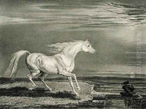 Marengo, from Celebrated Horses, a set of fourteen racing prints published by the artist, 1823-24
