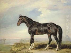 A Dongola stallion from Nubia, in an Egyptian landscape with pyramids by James Ward