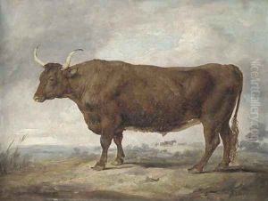 Portrait of an ox