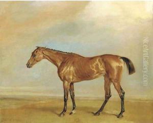 The Marquess of Exeter's Augusta, at Newmarket