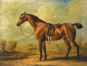 Wasp, a saddled bay hunter, in a landscape