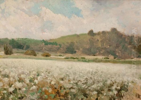 Paisajes - view 1