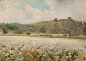 Paisajes by Jose Berga Boix