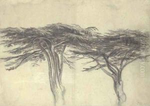 Study of two cedars of Lebanon by James Ward