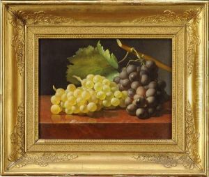 Raisin Noir Et Raisin Blanc Sur Un Entablement by Antoine Berjon