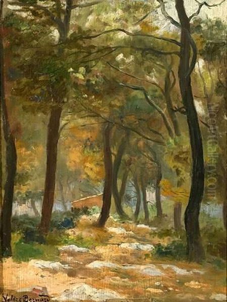 Maison Dans La Foret. - view 1