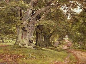 The Oak's Massive Trunk, Aldermaston Park, Berkshire, 1912