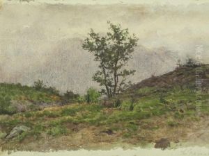 Paesaggio Di Montagna by Luigi Bianchi