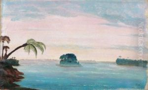 Vue Du Bresil : Le Grand Lit De L'amazone by Francois-Auguste Biard