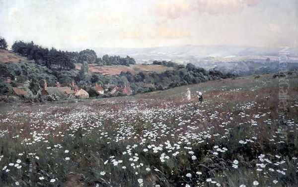 The Daisy Field, Fittleworth - view 1