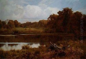 A Silent Pool: Autumn, Abinger Mill Pond, Surrey