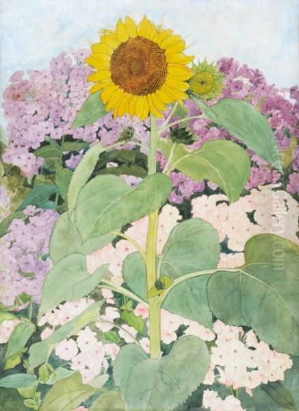 Sonnenblume - view 1