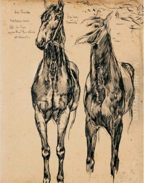 Etude De Chevaux - view 1