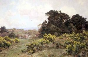 On a Sussex Common