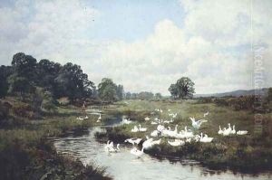 The Freedom of the Common, Wonhams Marsh, Surrey, 1905