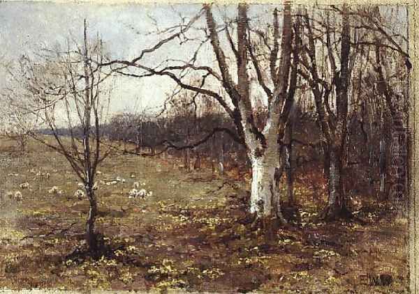 Primrose Wood, Clovelly - view 1