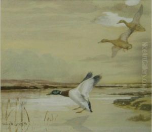 Mallards Landing by Binks, R. Ward