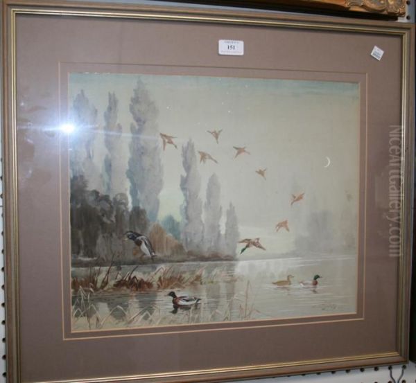Mallards Dropping In - view 1