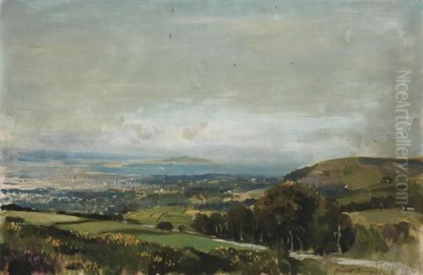 Dublin Bay From The Hills Above Rathfarnham, Co. Dublin - view 1