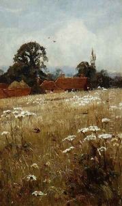 Summer Swallows, near Brockham, Surrey