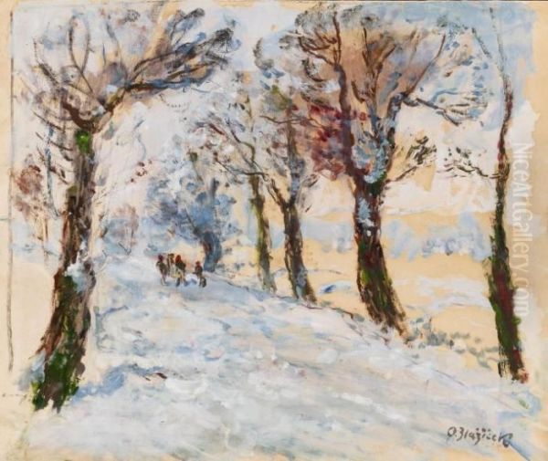 Winterlandschaft - view 1