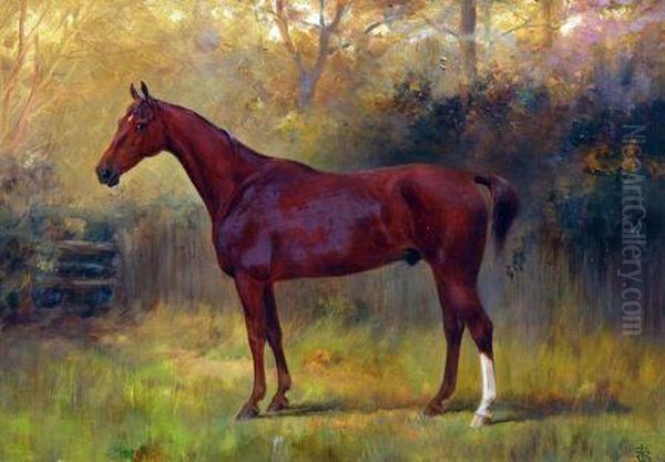 Portrait Of Randy - Horse Owned By Mr Joseph Storey - view 1