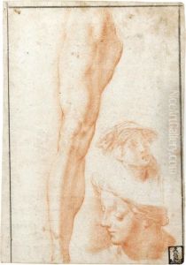 A Study Of A Leg And Two Separate Head Studies