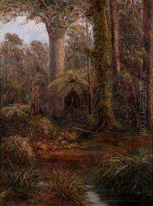 Bush Scene With Kauri Trees Bush Scene With Kauri Trees