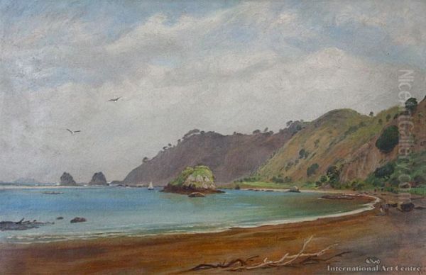 Beach At Whakatane - view 1