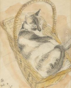 A Cat In A Basket