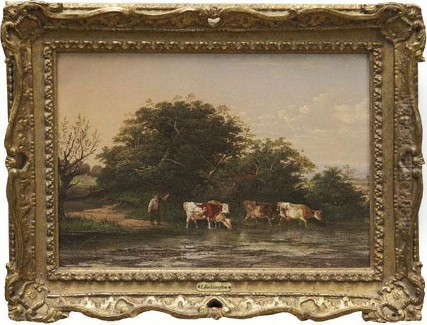 Cattle Watering With Herder - view 1