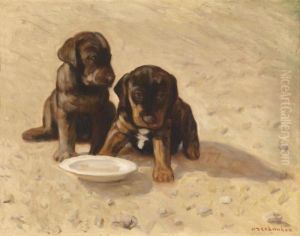 Puppies