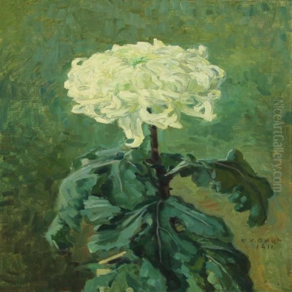 White Chrysanthemum - view 1