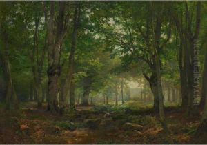 A Sunlit Forest Interior With Deer
