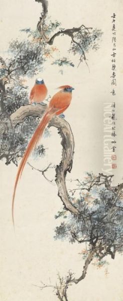 Pine And Birds - view 1
