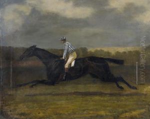 Jockey Im Galopp