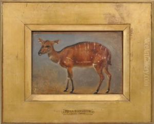 Cervide by Rosa Bonheur