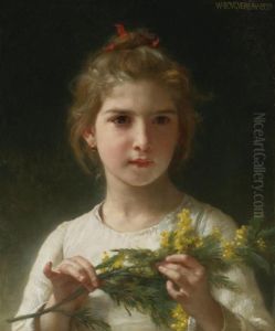 Mimosa